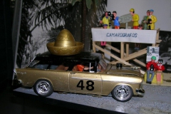 2007_carrera_panam_576.jpg