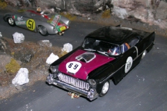 2008_carpan_438.jpg