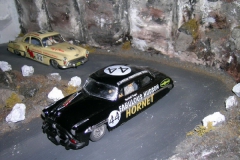 2008_carpan_445.jpg