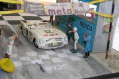 panam_2010_611.jpg