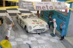 panam_2010_615.jpg