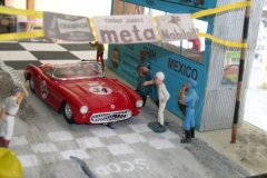 panam_2010_617.jpg