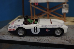 imgp7095.jpg